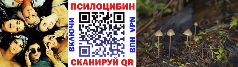 Псилоцибиновые грибы MAGIC MUSHROOMS  где можно купить   Шатура 